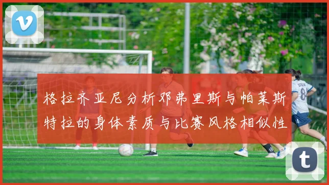 格拉齐亚尼分析邓弗里斯与帕莱斯特拉的身体素质与比赛风格相似性